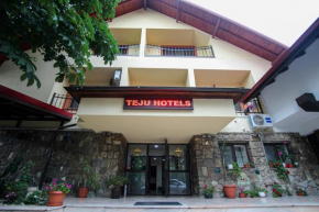 Teju Hotels, Slănic